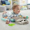 Bild von Fisher-Price Sweet Relax Faultier-Kissen