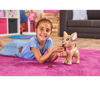 Bild von Chi Chi Liebe Poo Poo Welpe (105893264)
