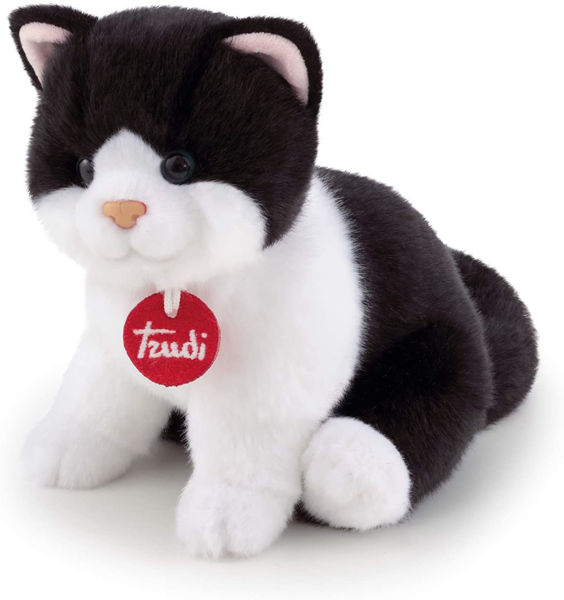 Bild von Brad Plüschkatze, Farbe Schwarz und Weiß