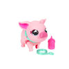 Bild von MEINE HAUSTIERE SCHWEIN