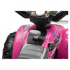 Bild von CORRAL BEARCAT ROSA 6V