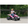 Bild von CORRAL BEARCAT ROSA 6V