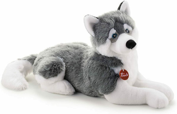 Bild von HUSKY MARCUS CM 60