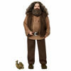 Bild von Harry Potter Zauberei - Rubeus Hagrid