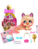 Bild von Vip Pets Celebripets sortiert
