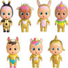 Bild von Schreibabys Goldenes Haus (93348)
