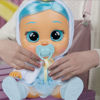 Bild von CRY BABYS KÜSSEN MICH Sydney