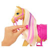 Bild von Barbie New Ranch Playset