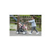 Bild von Passeggino Gemellare Bb Comfort