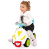 Bild von Primipassi 4 In 1 Con Asta Fisher Price