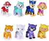 Bild von Paw Patrol Cat Pack Confezione Regalo Con Figure