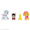 Bild von Paw Patrol Cat Pack Rory & Skye Rescue