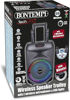 Bild von Trolleysync - Amplificatore Trolley karaoke Con 2 Microfoni Wireless