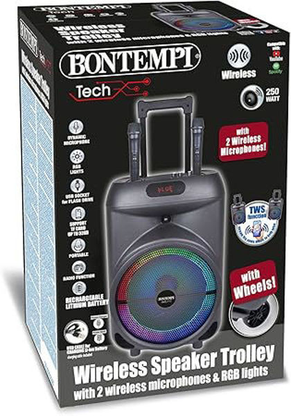 Bild von Trolleysync - Amplificatore Trolley karaoke Con 2 Microfoni Wireless