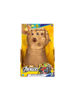 Bild von 
