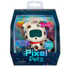 Bild von Pixel Petz - Digital Cane Assort.