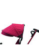 Bild von Triciclo Rosso